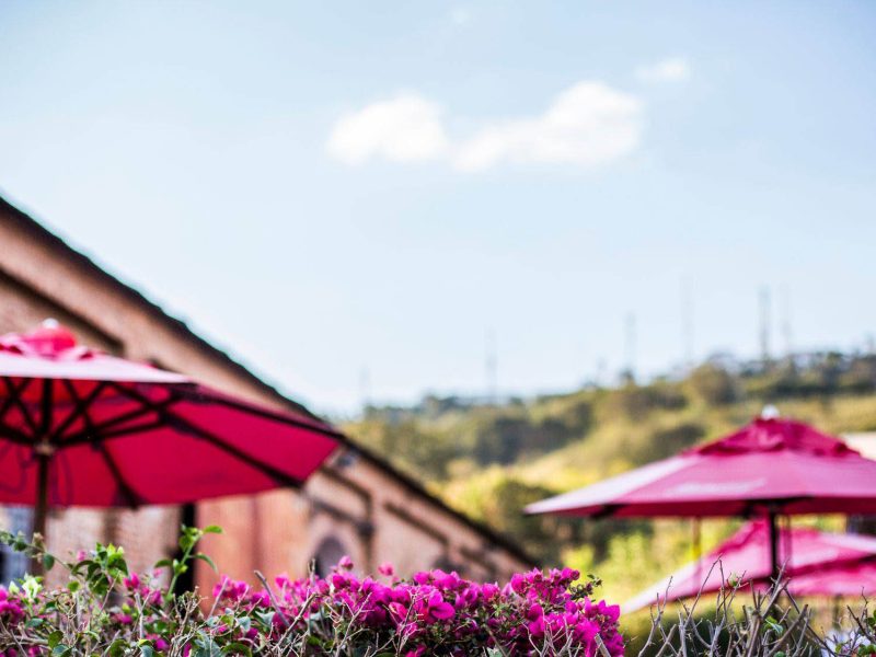 13908821_1303001066407128_3845973434192729974_o